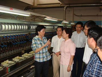 陈际瓦副书记深入宜州市调研蚕茧丝绸产业发展情况 探寻产业升级新路径